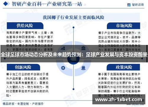 全球足球市场动态分析及未来趋势预测：足球产业发展与资本投资前景