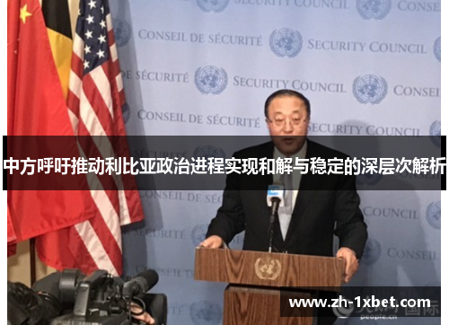 中方呼吁推动利比亚政治进程实现和解与稳定的深层次解析