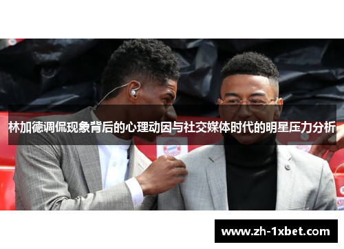 林加德调侃现象背后的心理动因与社交媒体时代的明星压力分析