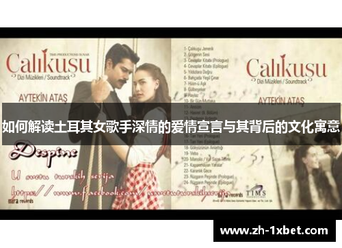 如何解读土耳其女歌手深情的爱情宣言与其背后的文化寓意