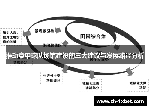 推动意甲球队场馆建设的三大建议与发展路径分析