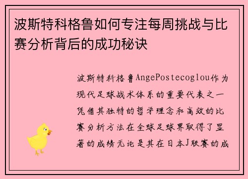 波斯特科格鲁如何专注每周挑战与比赛分析背后的成功秘诀